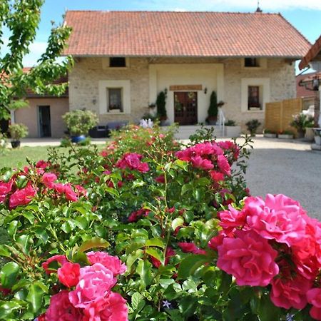 La Besace Bed & Breakfast Sainte-Croix  Bagian luar foto