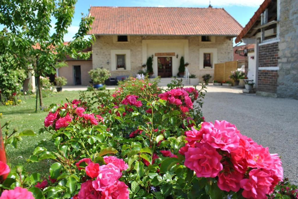 La Besace Bed & Breakfast Sainte-Croix  Bagian luar foto
